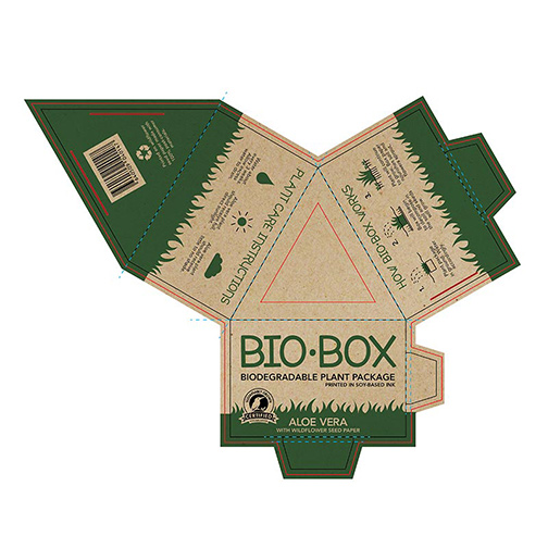 Bio Box Sustainable Packaging Layout