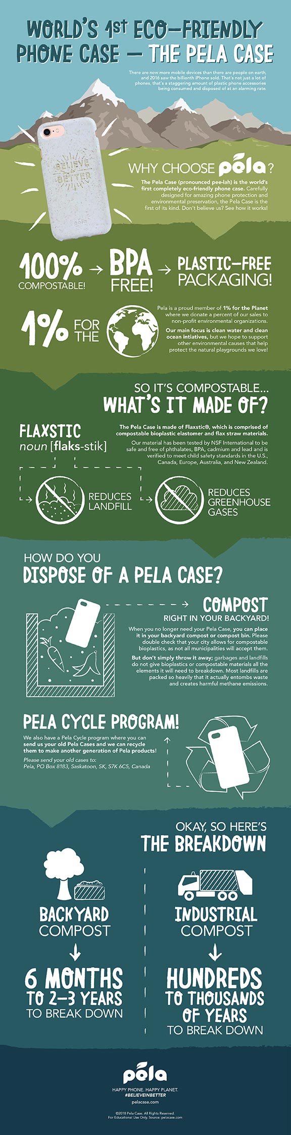 Pela Case Infographic